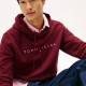Tommy Hilfiger Ανδρικό φούτερ Logo Drawstring Hoody
